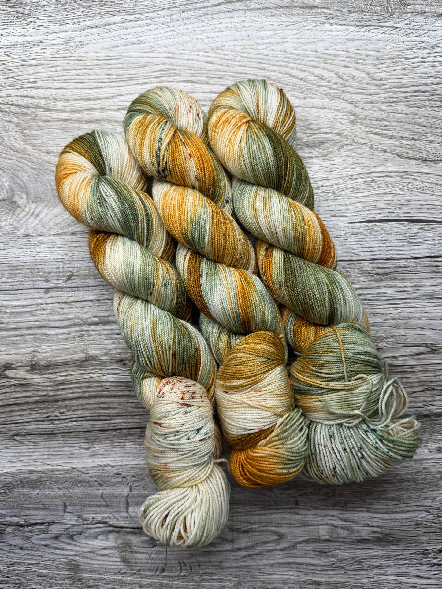 Ready to Ship - Heirloom Pumpkin Trial