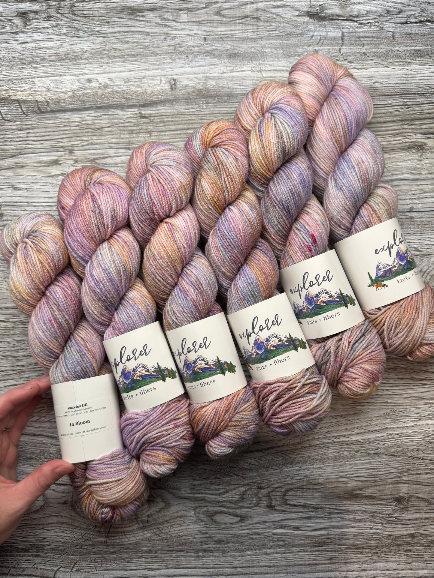 Destash - Explorer Knits - In Bloom 100% SWM DK