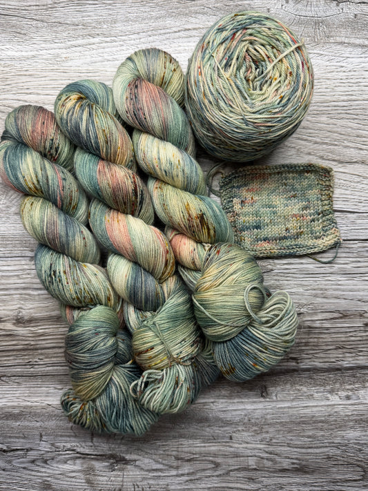 Ready to Ship - Venus Trial 2