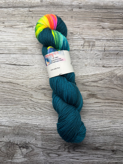 Destash - Whimsical Wood Yarn Co - Lakeside Ass - 100% SWM DK